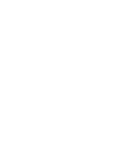 Logo puma project